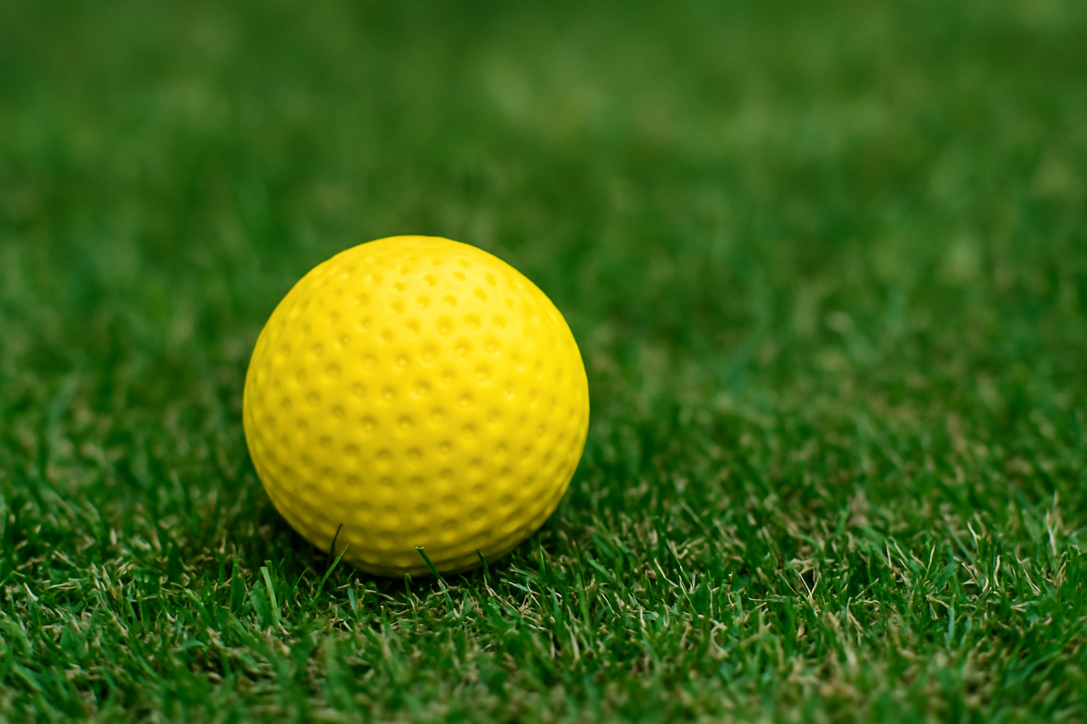 Soft Ball